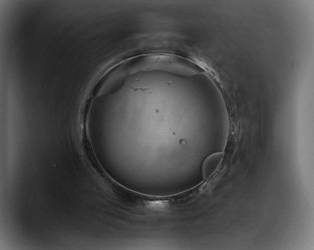 X0000088660053200705251530