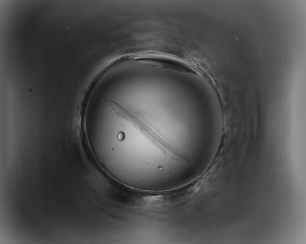 X0000088660054200705251530