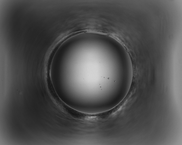 X0000088660055200705251530