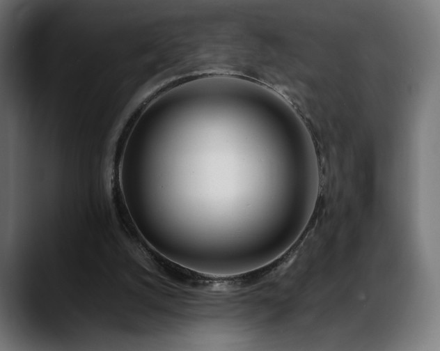 X0000088660056200705251530