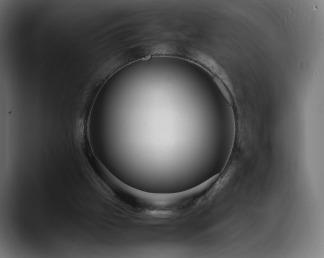 X0000088660057200705251530