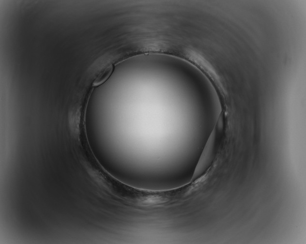 X0000088660058200705251530