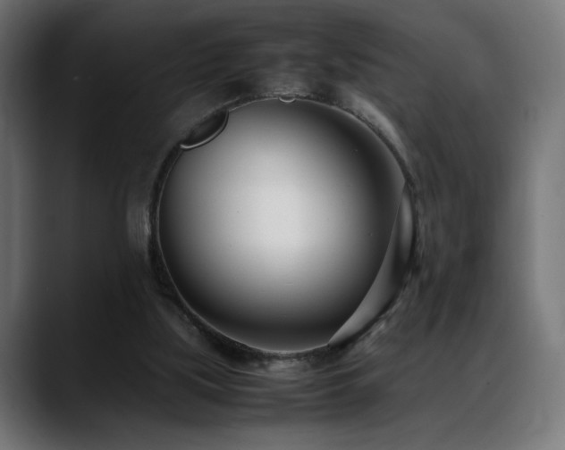 X0000088660059200705251530