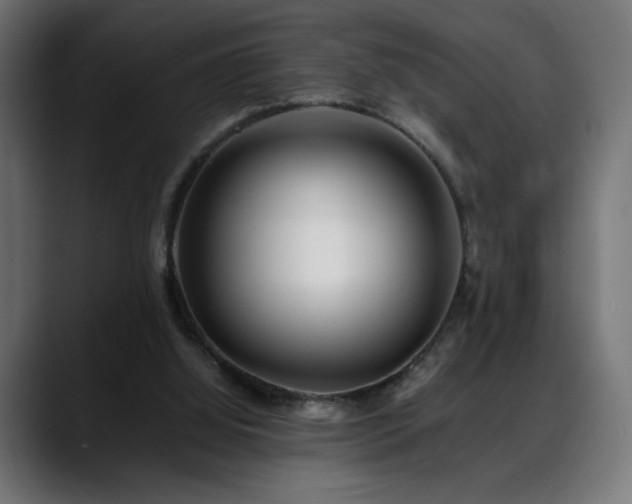 X0000088660060200705251530