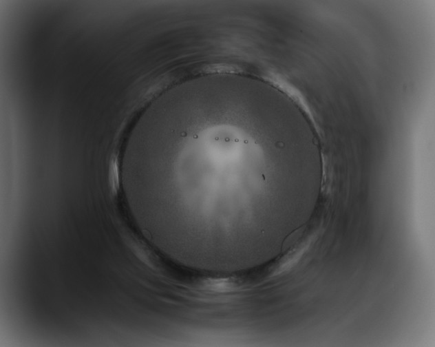 X0000088660061200705251530