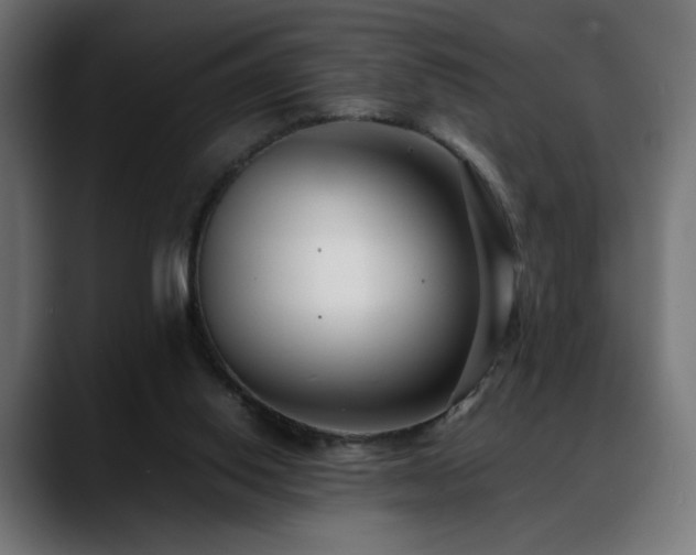 X0000088660062200705251530