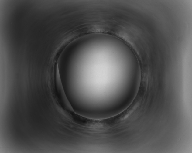 X0000088660063200705251530