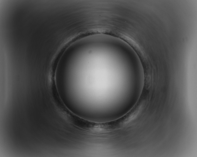 X0000088660064200705251530