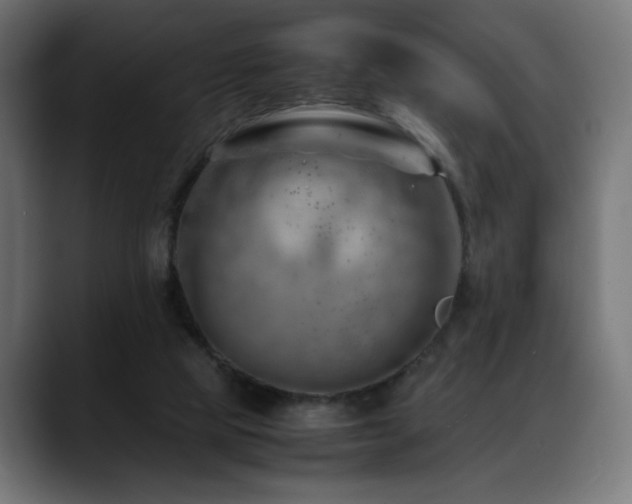 X0000088660065200705251531