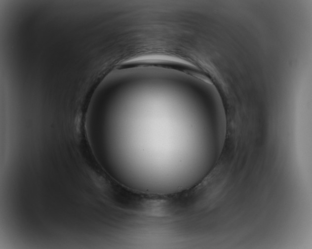 X0000088660066200705251531