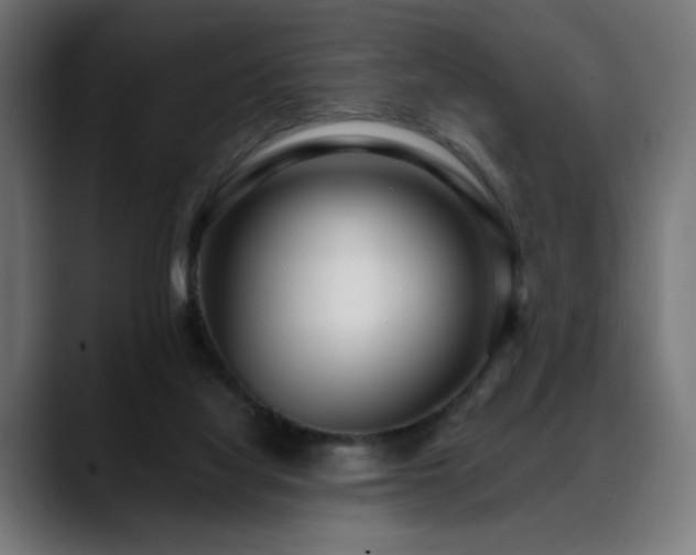 X0000088660068200705251531