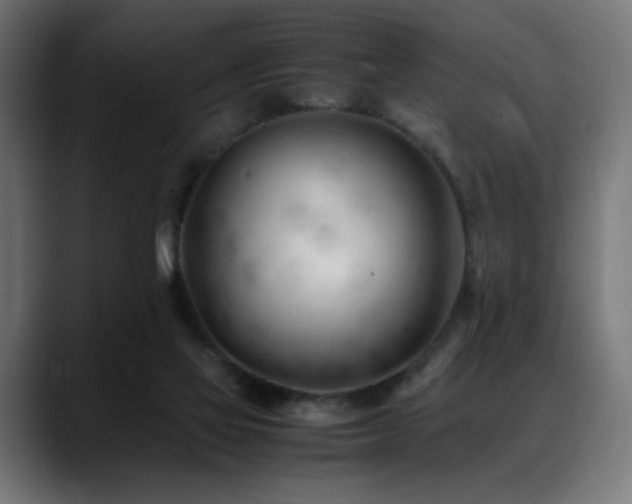 X0000088660069200705251531