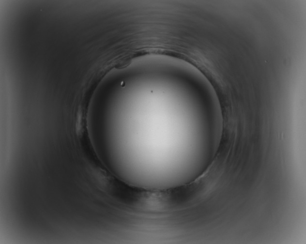 X0000088660074200705251531