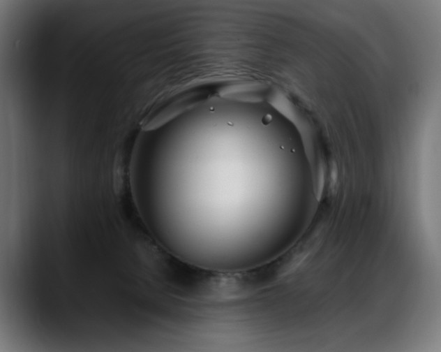 X0000088660080200705251531