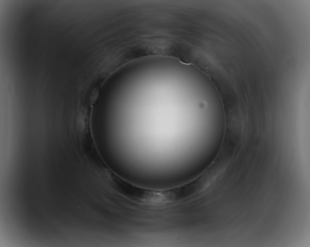 X0000088660083200705251531