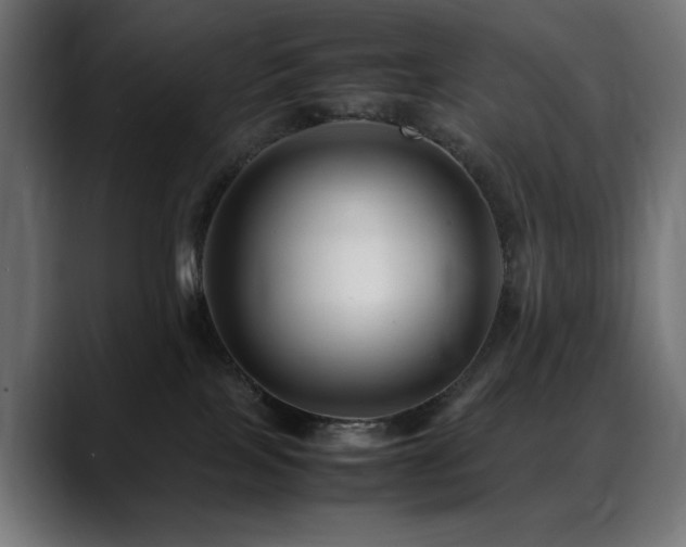 X0000088660089200705251531