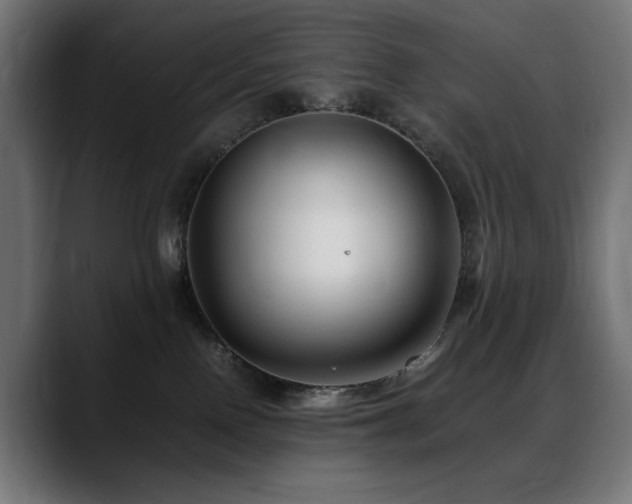 X0000088660090200705251531