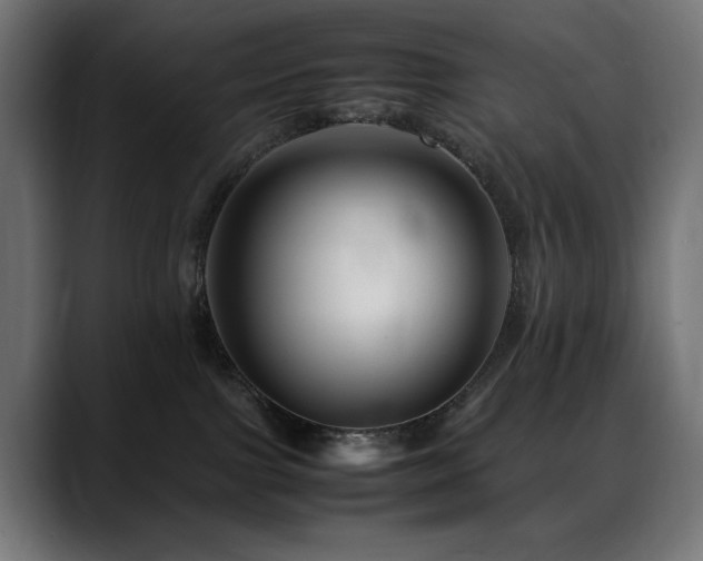 X0000088660091200705251531