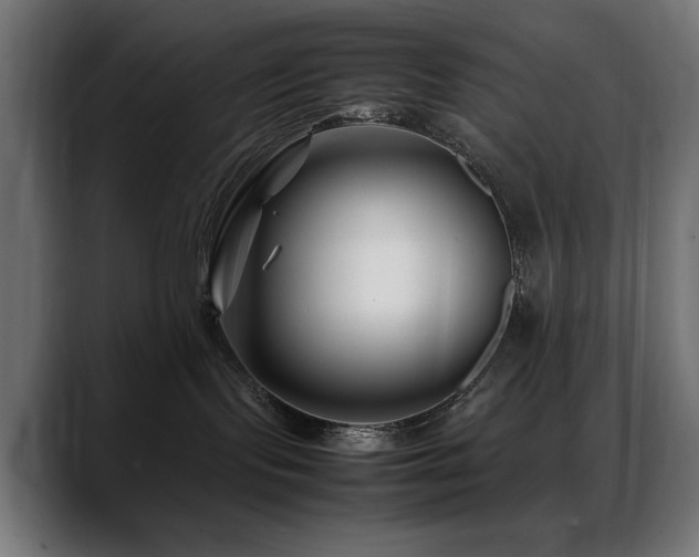 X0000088660095200705251531