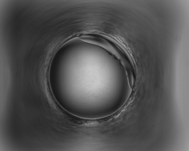 X0000088660097200705251530