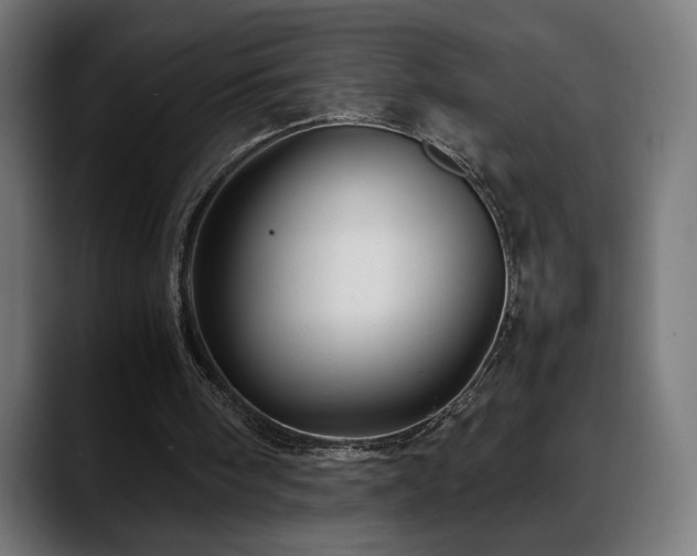 X0000088660098200705251530