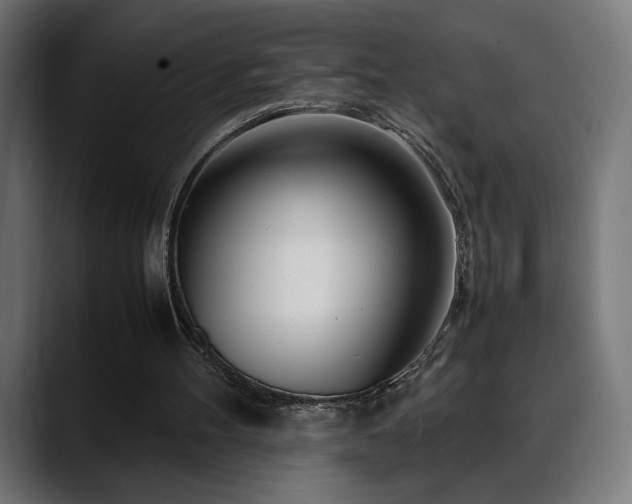 X0000088660100200705251530