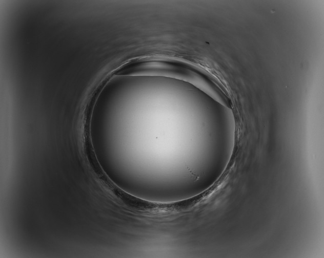 X0000088660101200705251530