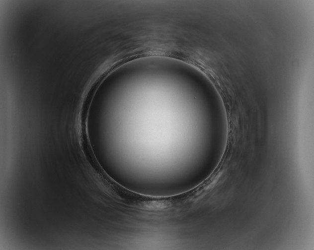 X0000088660102200705251530