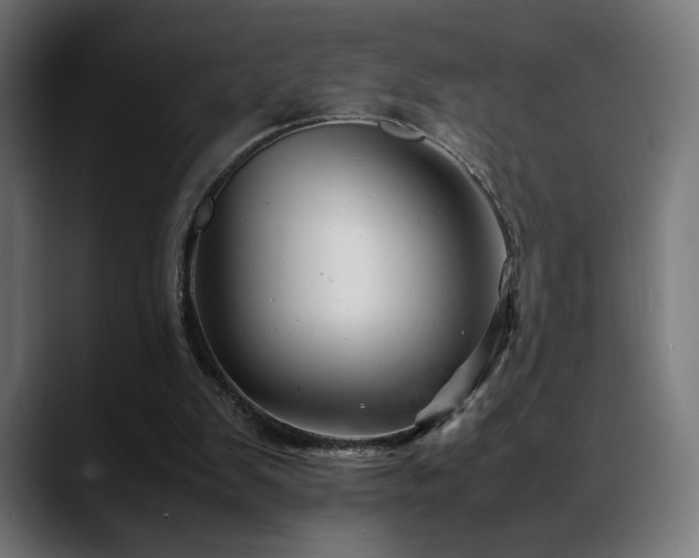 X0000088660103200705251530