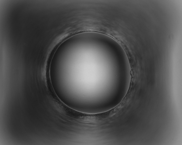 X0000088660104200705251530