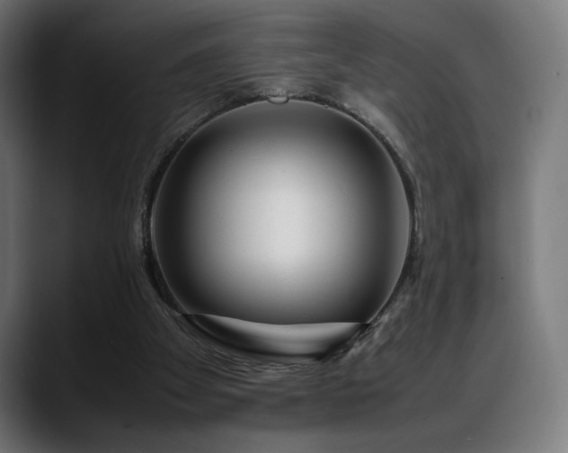 X0000088660105200705251530