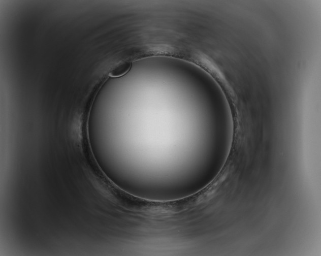 X0000088660106200705251530