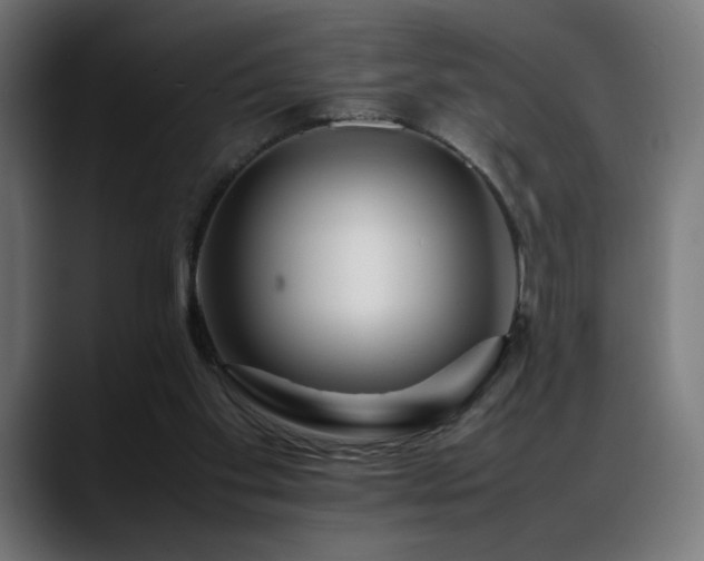 X0000088660109200705251530