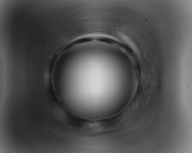 X0000088660113200705251530