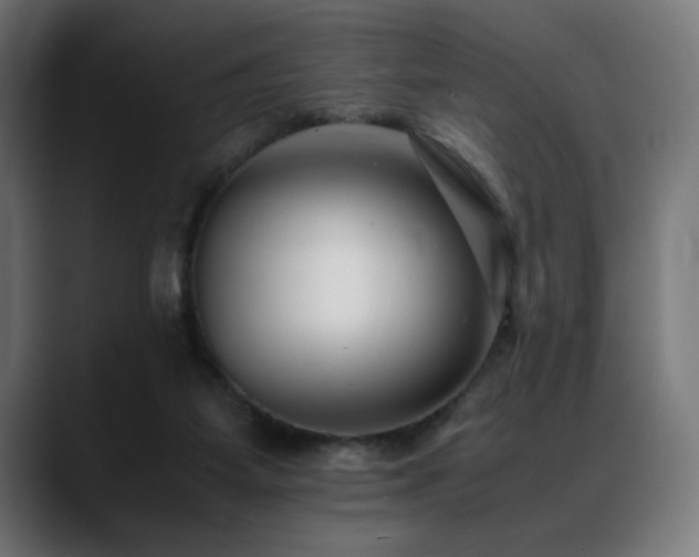 X0000088660115200705251530