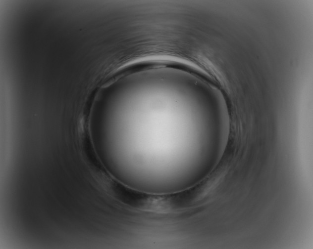 X0000088660117200705251530