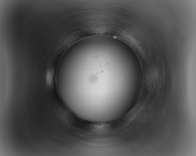 X0000088660118200705251530