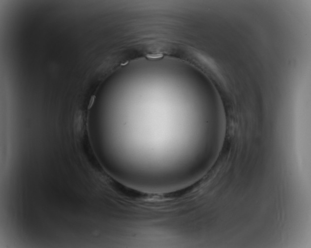 X0000088660121200705251530