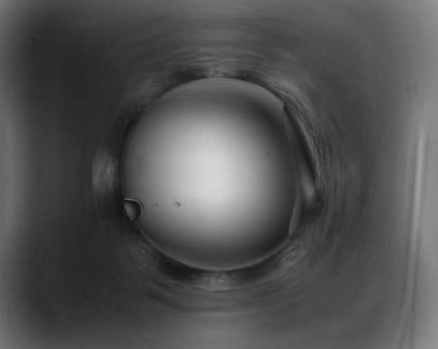 X0000088660123200705251530