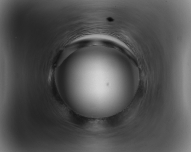 X0000088660125200705251530