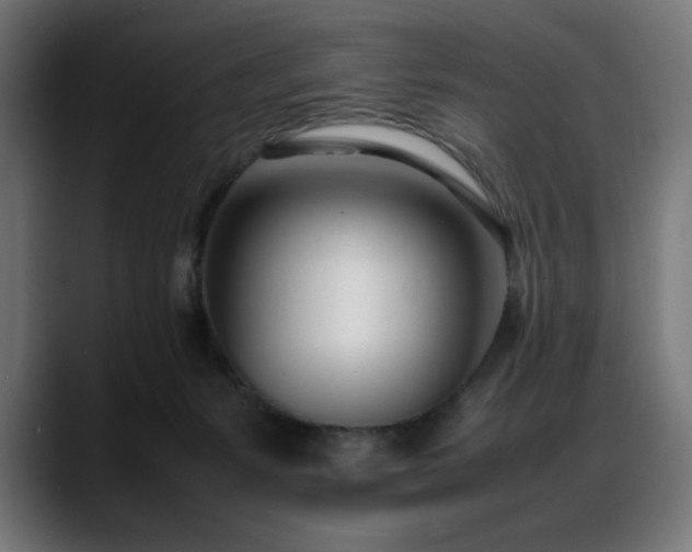 X0000088660127200705251530