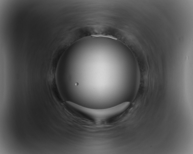 X0000088660129200705251530