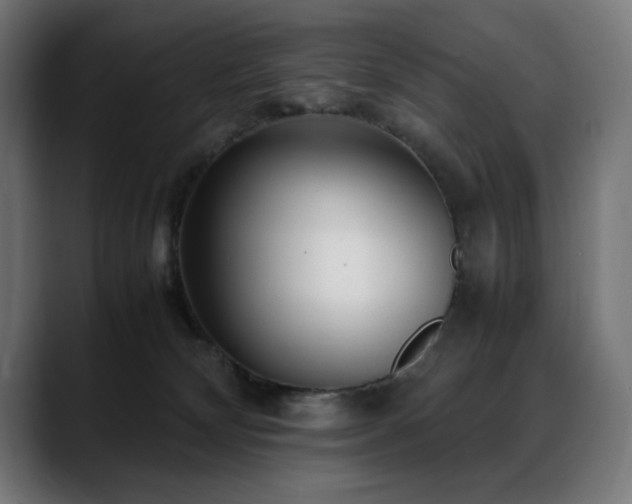 X0000088660132200705251530