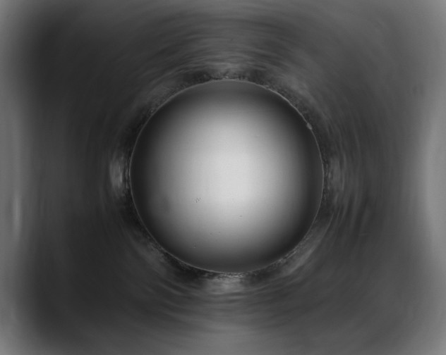 X0000088660138200705251530