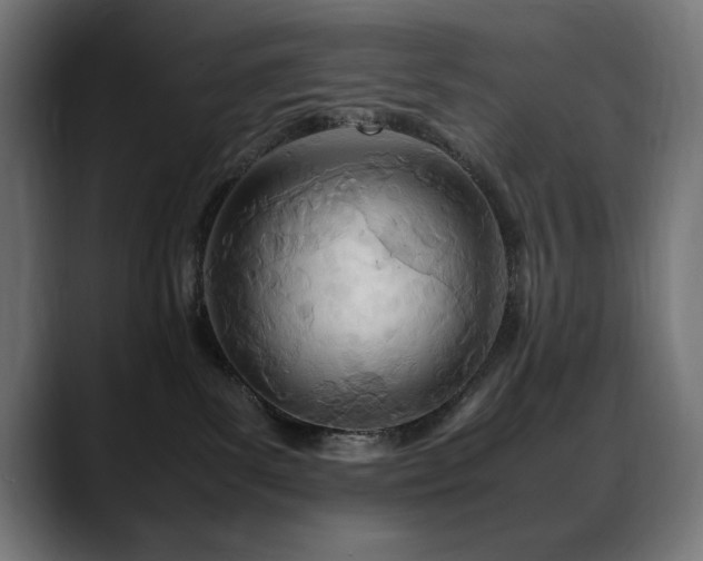 X0000088660139200705251530