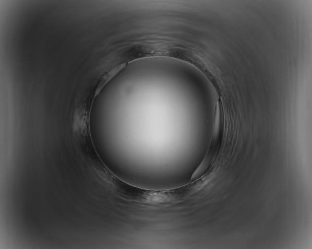 X0000088660141200705251530