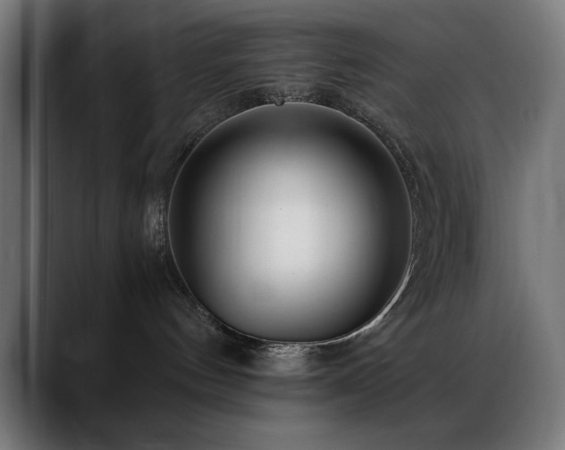 X0000088660144200705251530