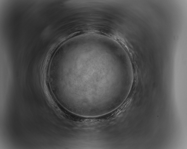 X0000088660145200705251529