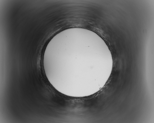 X0000088660146200705251529