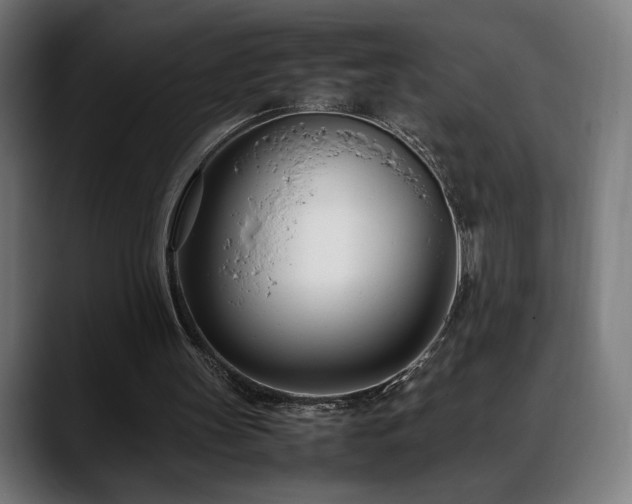 X0000088660147200705251529